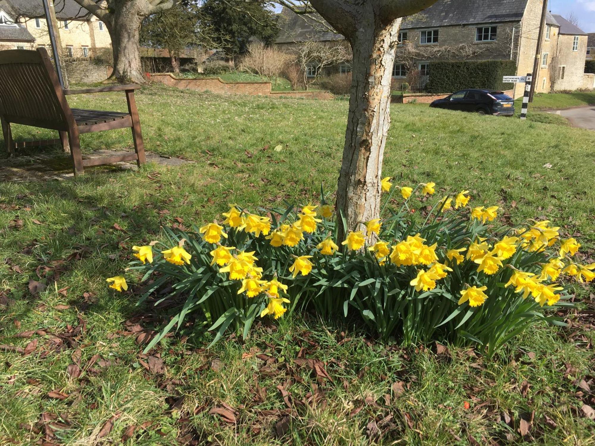 Brook Farm Cottage Brackley  Esterno foto